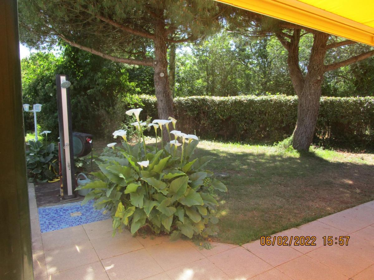 Locatlantique Bed & Breakfast Aytré Екстериор снимка